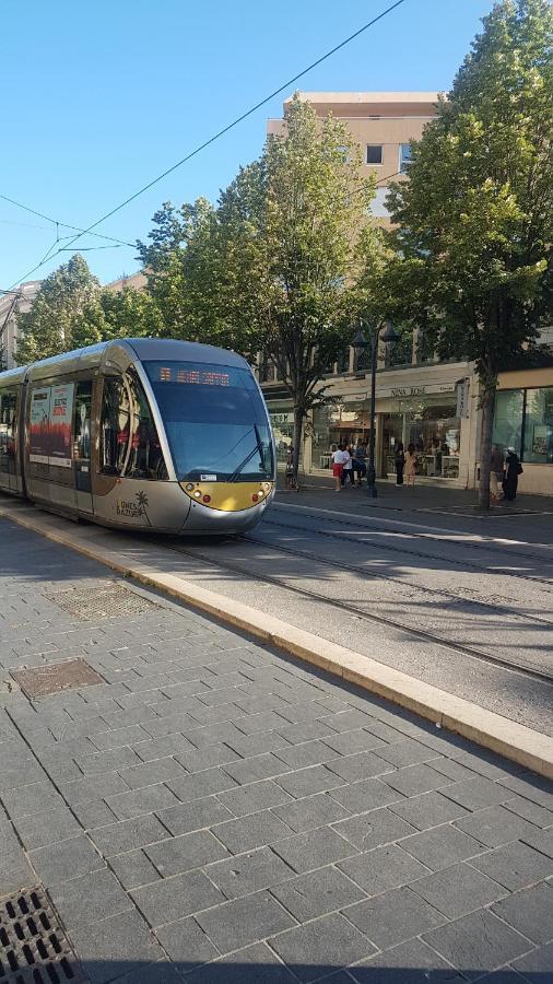 New Cheap Private Room, Kitchen , Overwieuw Sea,tram On Spot, 12 Minutes From Train Station With Tram , In 17 Min Tram , Privee Pas Cher, Cuisine Equipee , Tram Sur Place, Apercu Mer, 12 Min De La Gare De Avec Le Tram, 17 Min Frühstückspension
